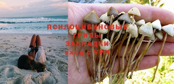 синтетический гашиш Каменка