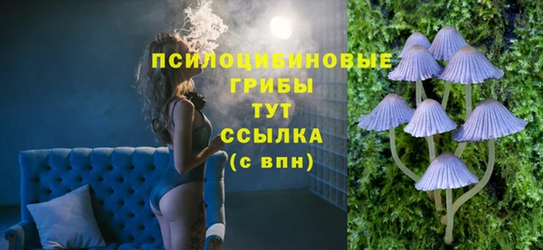скорость Каменногорск