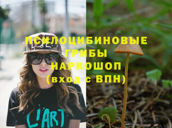 синтетический гашиш Каменка
