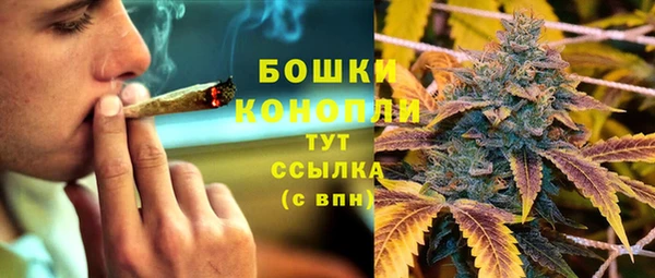 скорость Каменногорск