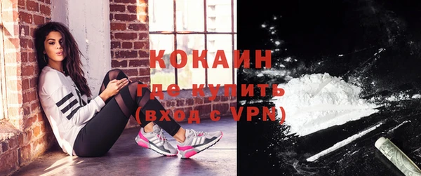 скорость Каменногорск