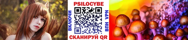 Купить  Краснознаменск  Псилоцибиновые грибы прущие грибы 